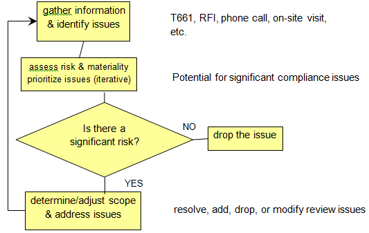 Risk considerations and determining the scope of review (Chart)