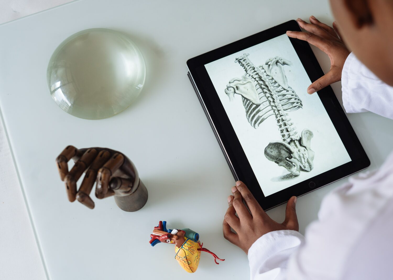 Photo by RF._.studio: https://www.pexels.com/photo/unrecognizable-african-american-scientist-studying-anatomy-with-tablet-3825539/
